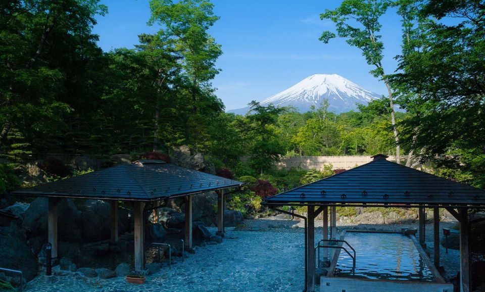 From Tokyo: Mount Fuji Day Trip With Yamanakako Hot Springs - Full Trip Description and Itineraries