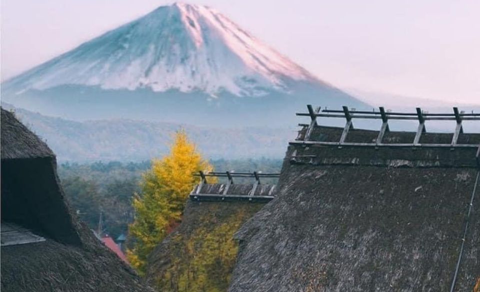 From Tokyo: MT Fuji Hakone Owakudani Valley Private Tour - Tour Highlights