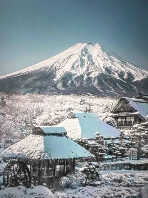 From Tokyo/Yokohama: Mount Fuji Private Tour With Pickup - Full Description