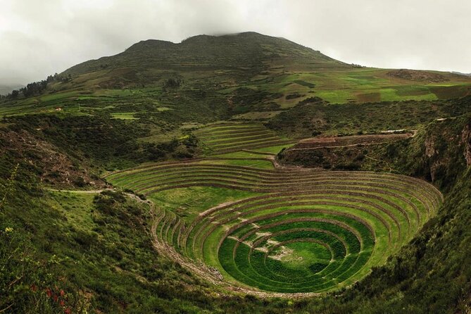 Full-Day Sacred Valley Tour From Cusco - Local Cuisine Tastings