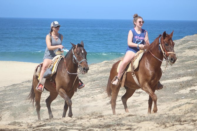 Guided Cabo Horseback Ride With Hotel Pickup  - Cabo San Lucas - Expectations and Requirements