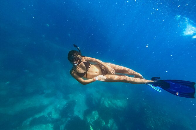 Half Day Cabo Snorkel Adventure With Lunch and Open Bar - Specific Feedback and Trip Highlights