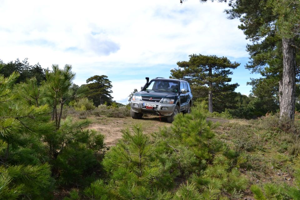 Halkidiki: Kassandra 4x4 Jeep Safari Off-Road Experience - Key Points