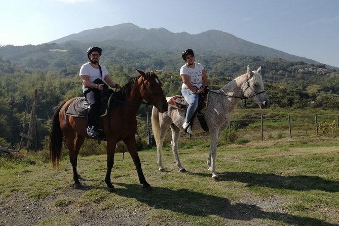 Horse Riding on Vesuvius - Additional Tour Information