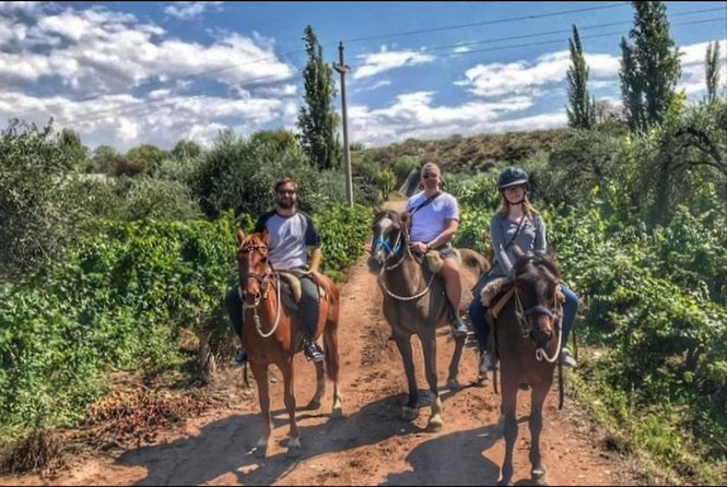 Horseback Ride Through Vineyards Followed by Gourmet Lunch - Directions