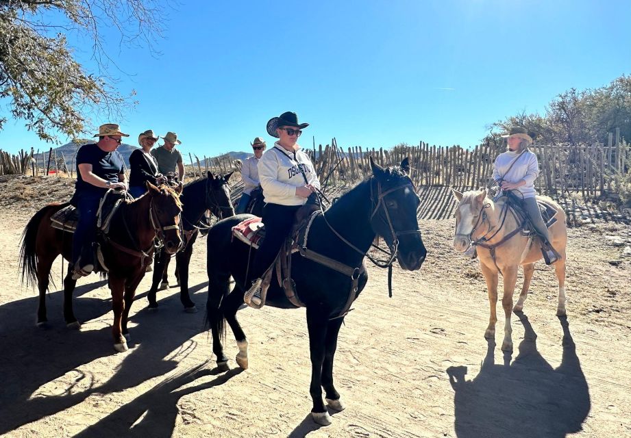 Horseback Ride Thru Joshua Tree Forest With Buffalo & Lunch - Tour Highlights