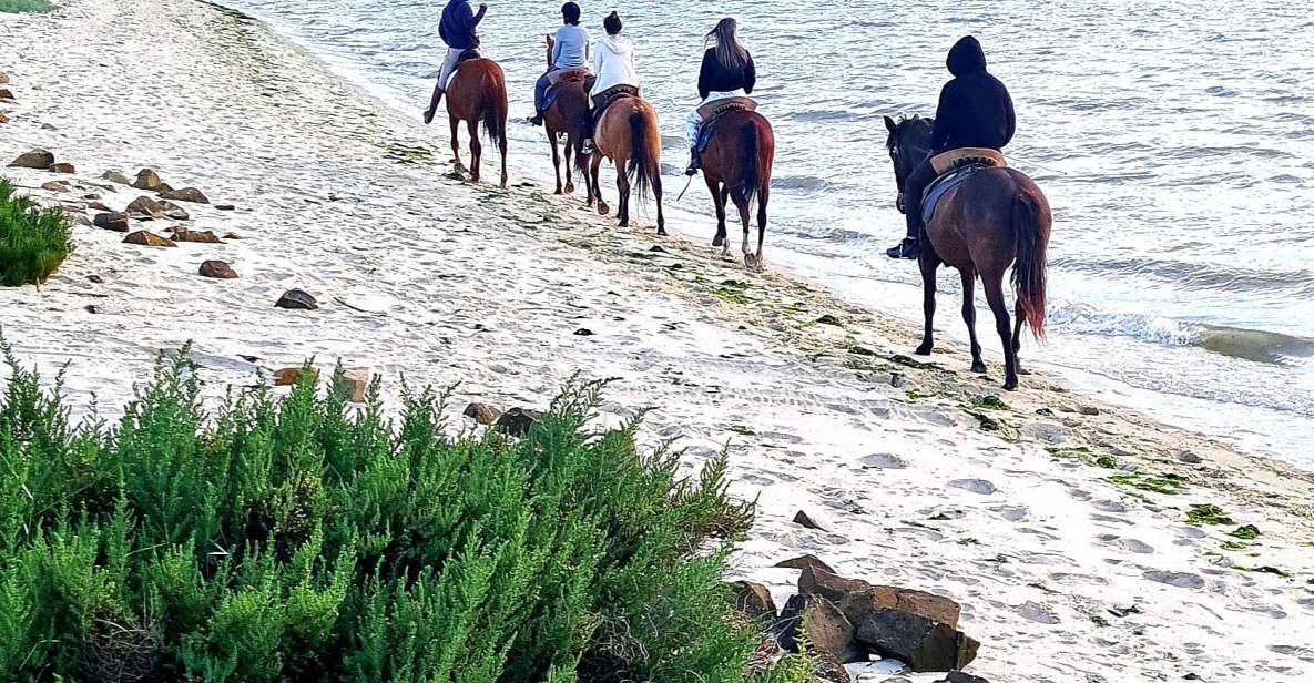 Horseback Riding on Beach + 2 Nights Casas Do Patio - Inclusions