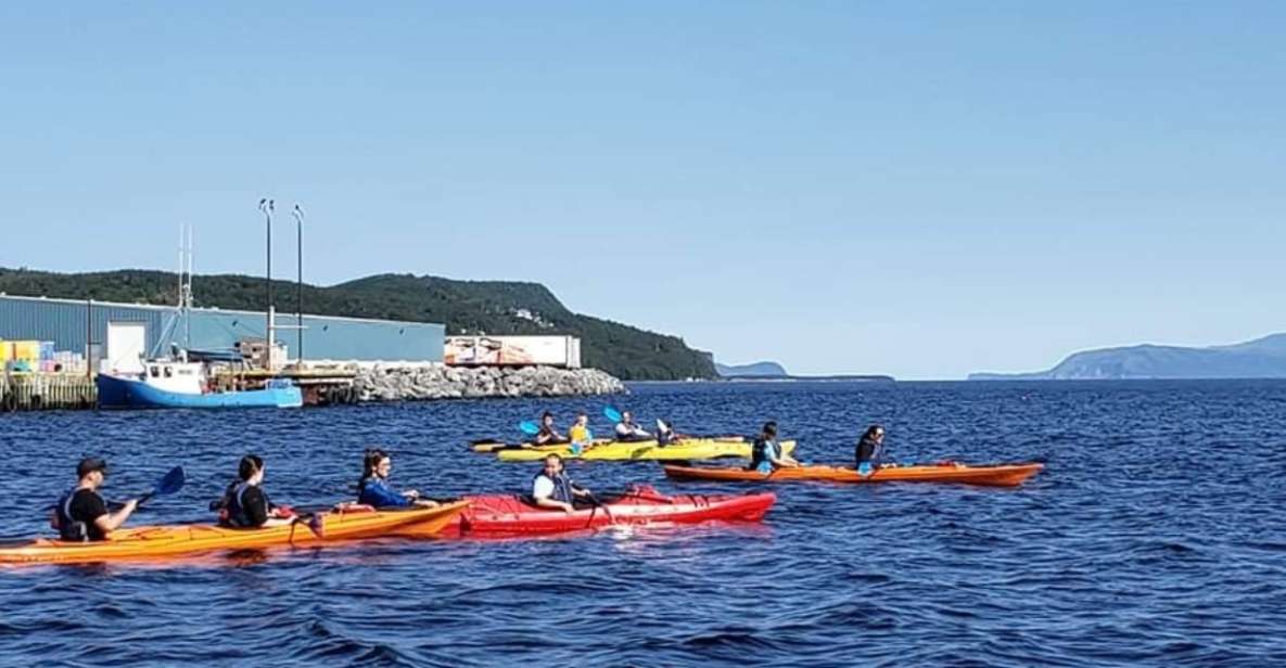 Humber Arm South: Bay of Islands Guided Kayaking Tour - Restrictions