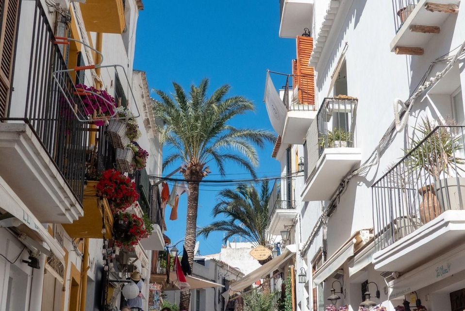 Ibiza Old Town Private Guided Walking Tour - Carthaginian and Roman Eras