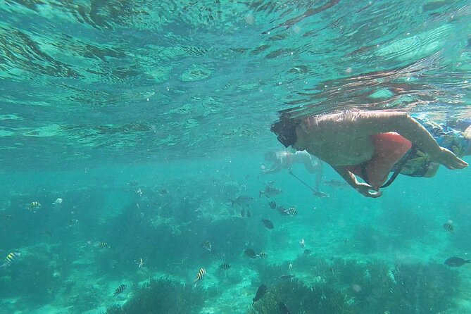 Isla Mujeres Snorkeling Adventure at the Underwater Museum - Experience Highlights
