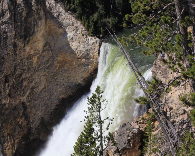 Jackson Hole: Yellowstone Lower Loop Upper Loop 2-Day Tour - Experience and Activities