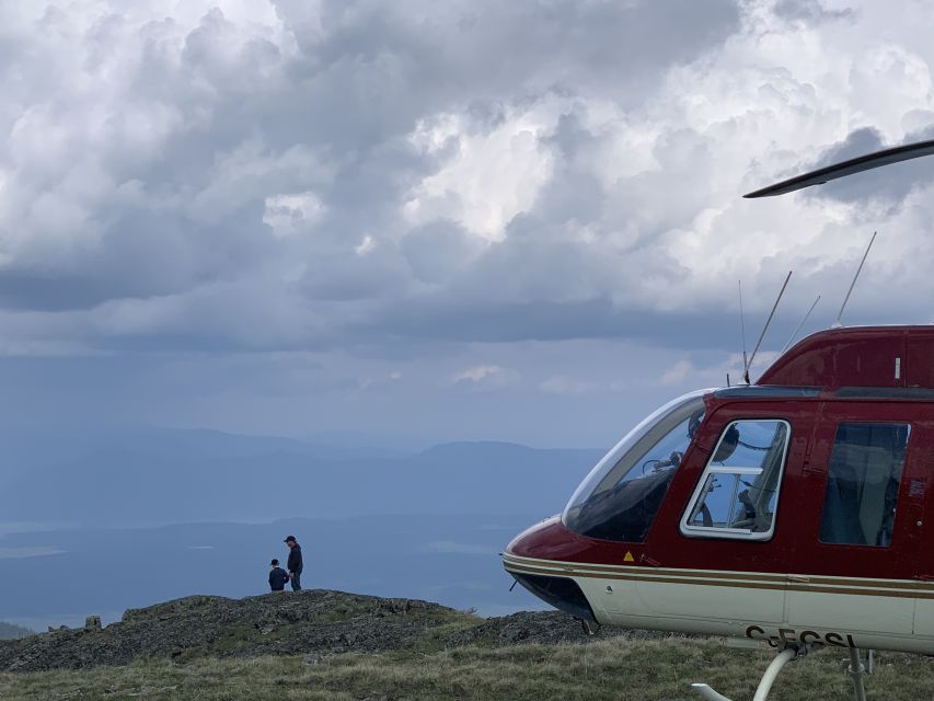 Jasper: Helicopter Tour With Mountain Top Landing and Hike - Tour Highlights