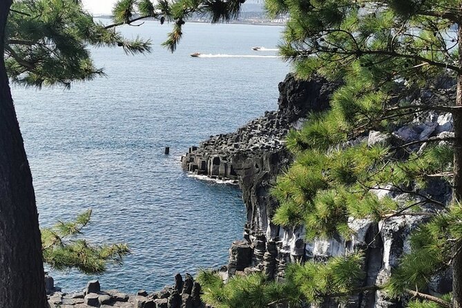 Jeju Island English Flexible Private Tour From 1 to 13, 10 Tours - Tour Details and Logistics