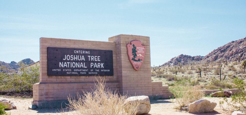Joshua Tree National Park: Self-Guided Driving Tour - Optional Activities