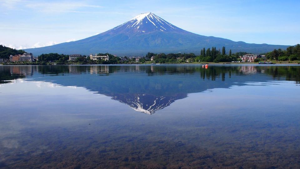 Kanto 10-Hour Chartered Day Tripmt. Fuji Day Trip - Vehicle and Service Details