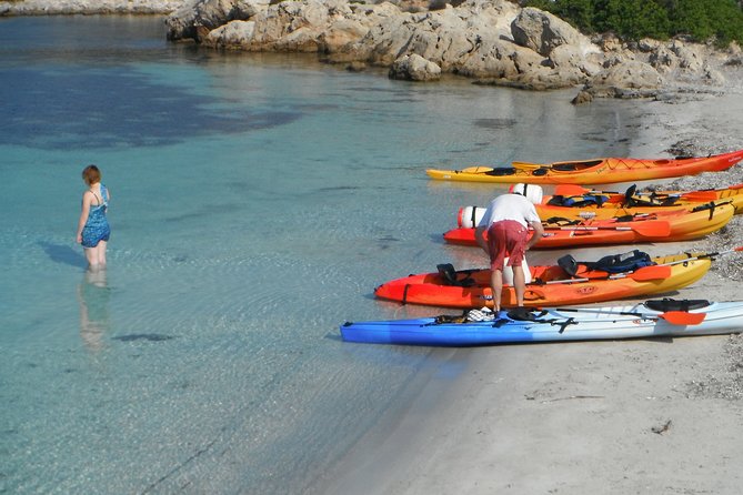 Kayak Tour in the Marine Reserve ! - Tour Description