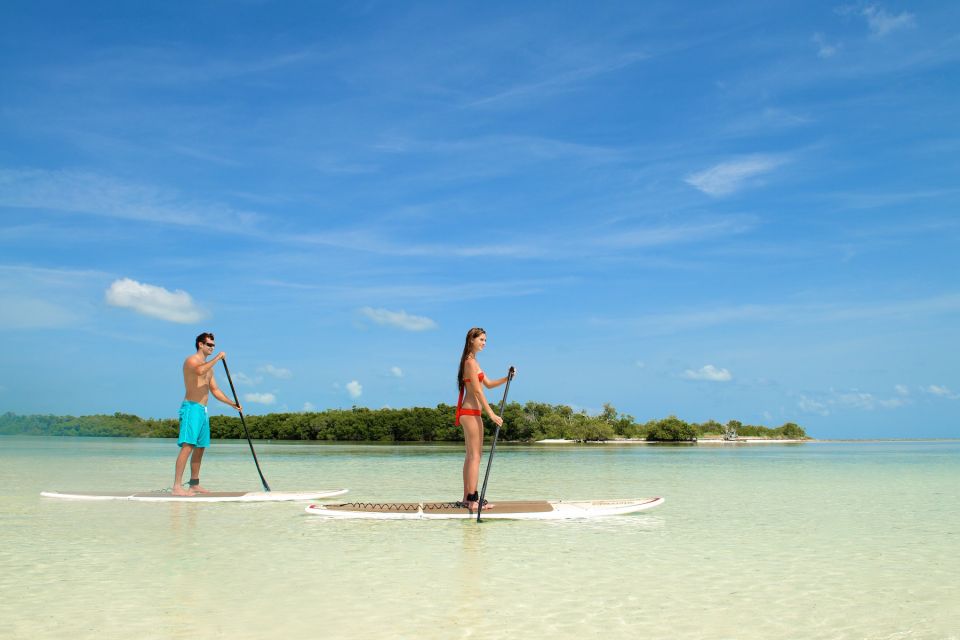 Key West Island Adventure Eco Tour - Tour Experience