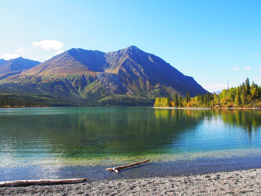 Kluane National Park: Full Day Tour - Inclusions