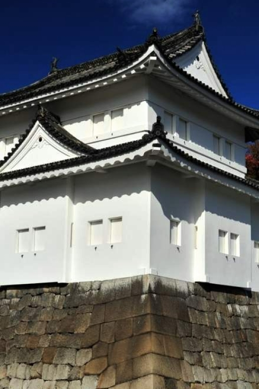 Kyoto: Nijo Castle and Ninomaru Palace Ticket - Experience Description