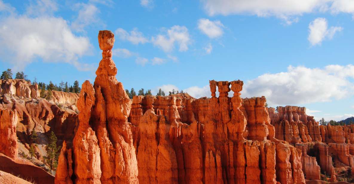 Las Vegas: Discover Bryce and Zion National Parks With Lunch - Important Information