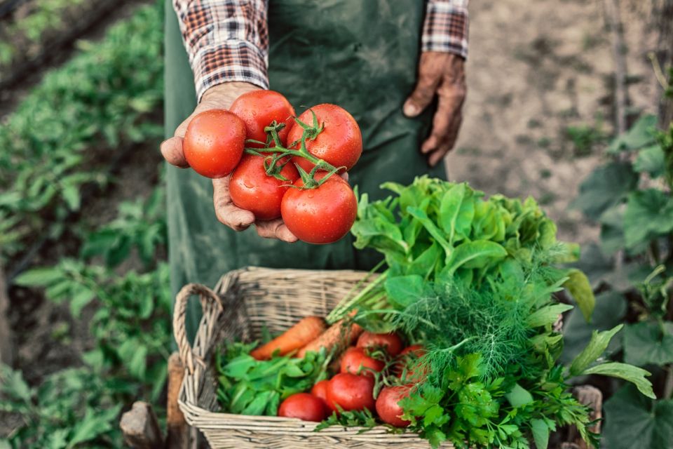 Learn to Cook Authentic Corfu Recipes With a Local Cook - Tour Experience