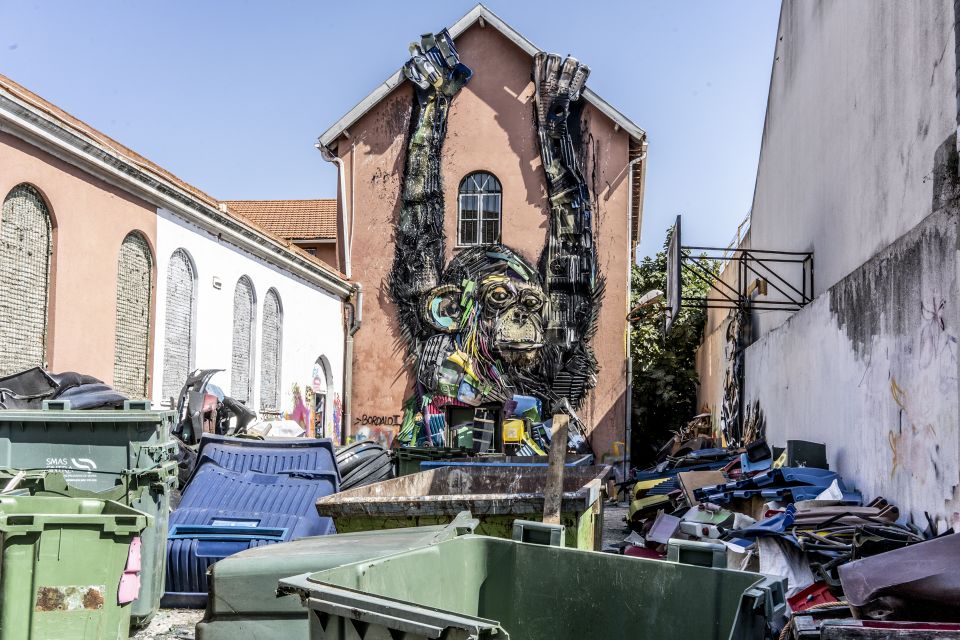 Lisbon: Street Art TukTuk Tour - Tour Experience