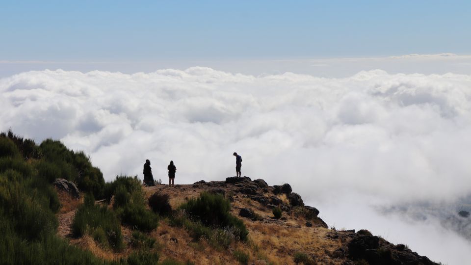 Madeira: Full Day Private Jeep Tour East or West - Inclusions