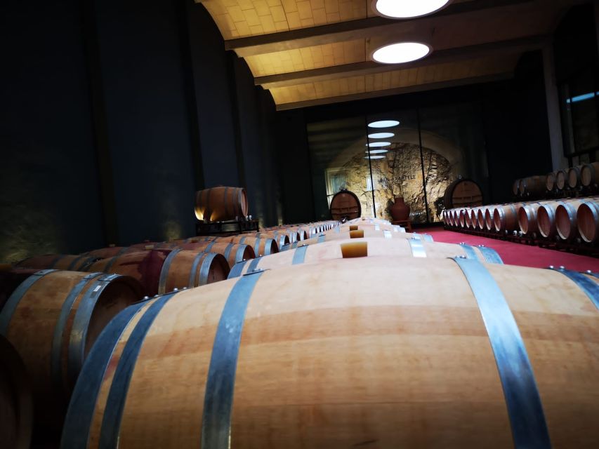 Mallorca: Full-Day Winery Small Group Tour - Inclusions