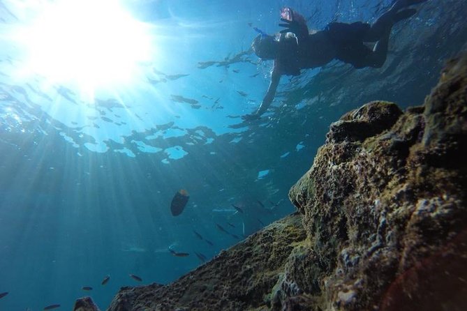 Marietas Islands Snorkeling Tour - Additional Tour Information and Operator