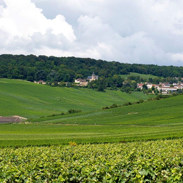 Marne: 2-Day Champagne Tour With Tastings and Lunches - Tour Inclusions