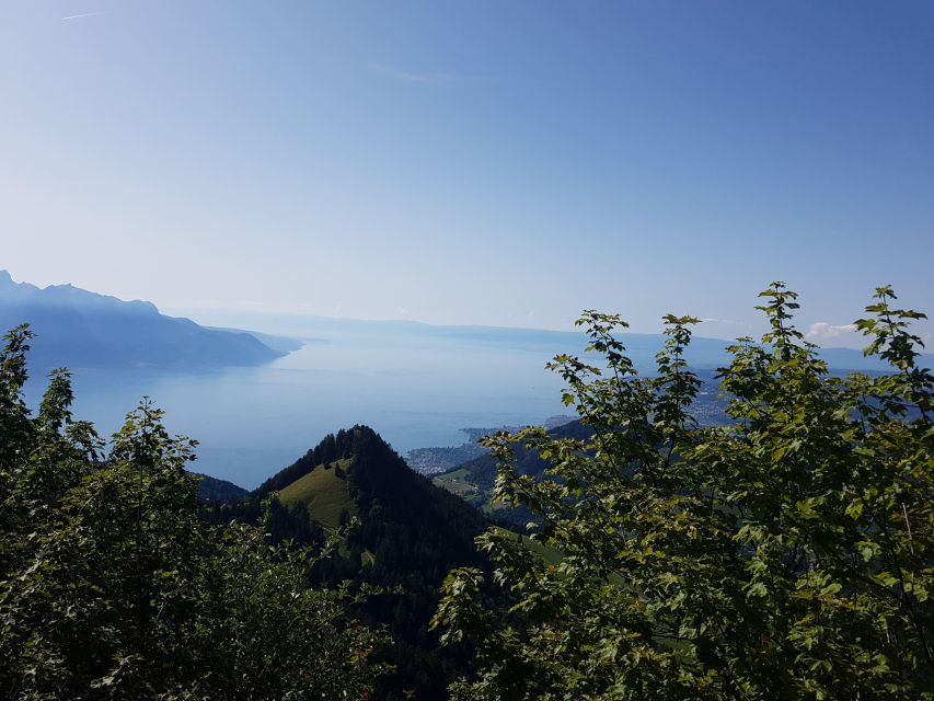 Montreux to Rochers-de-Naye: Alpine Adventure Ticket - Inclusions