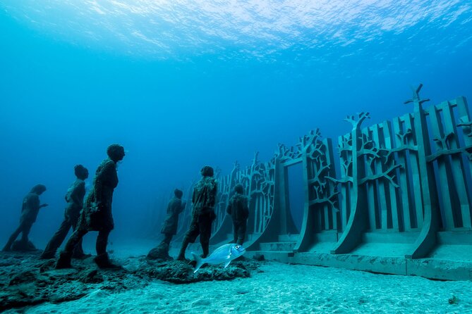 Museo Atlantico Diving Tour From Playa Blanca - Cancellation Policy