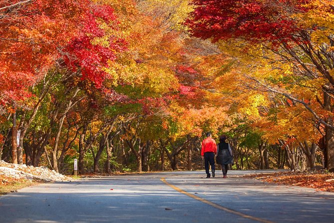 Naejangsan National Park Autumn Foliage Tour From Busan - Reviews and Ratings Breakdown