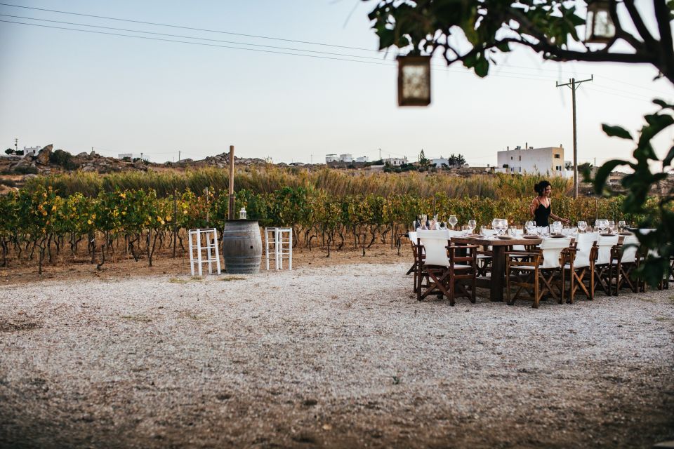 Naxos: Full Moon Dinner and Wine Tasting in a Vineyard - Activity Description