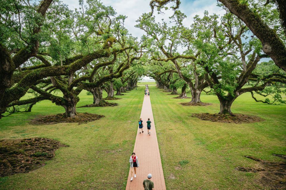 New Orleans: Oak Alley Plantation and Swamp Cruise Day Trip - Experience Highlights