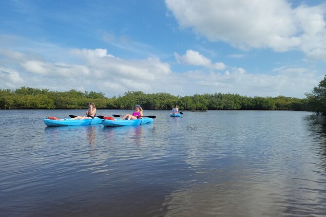 New Smyrna Dolphin and Manatee Kayak and SUP Adventure Tour - What To Expect