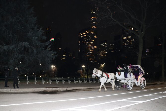 New York City: Central Park Private Horse-and-Carriage Tour - Feedback Insights