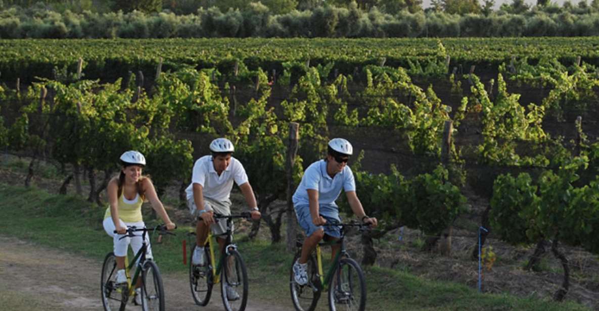 Niagara-On-The-Lake: Bicycle Tour With Wine Tasting - Tour Itinerary