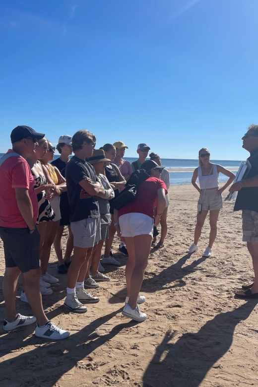 Normandy DDay Beaches Tours All Year Round - Key Points