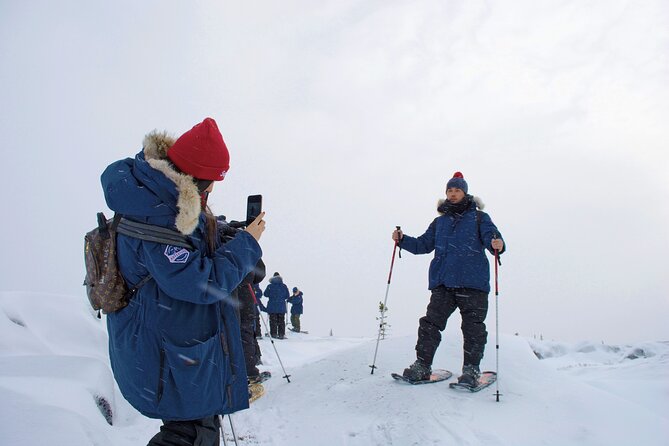 Northern Lights Winter Nights Adventure - Dog Sledding Excursion Details