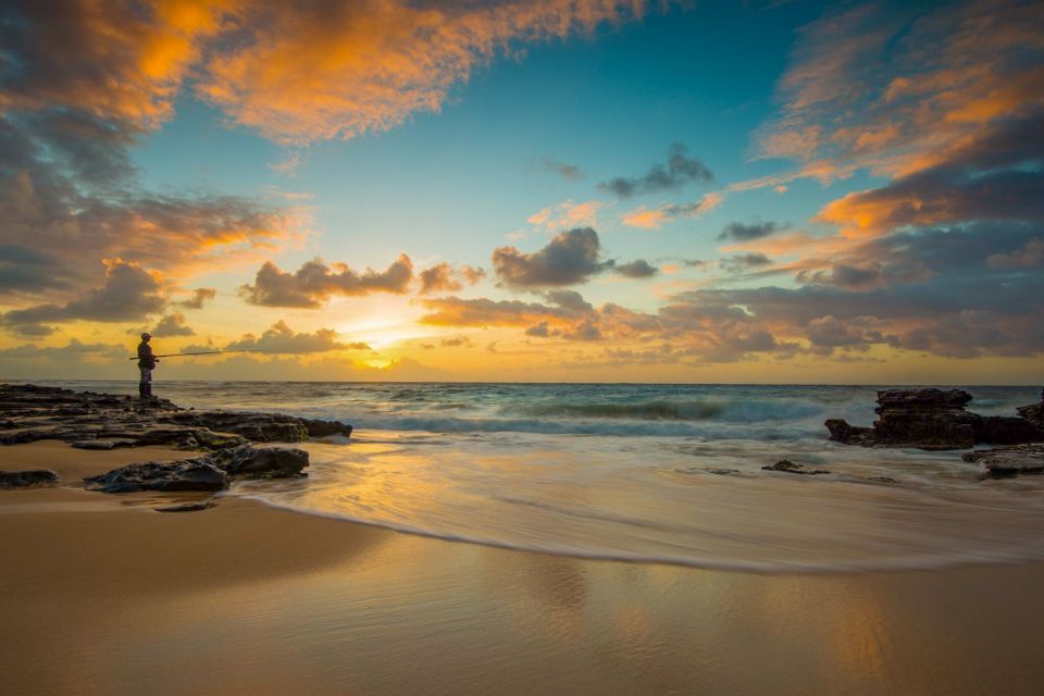 Oahu: 10-Hour Sunrise & Scenic View Points Photo Tour - Majestic Mountains & Country Stands