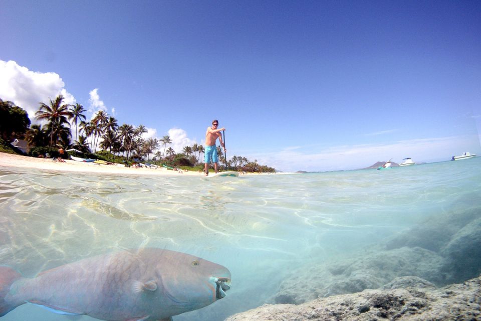 Oahu: Kailua Stand Up Paddle Board Lesson - Location Details