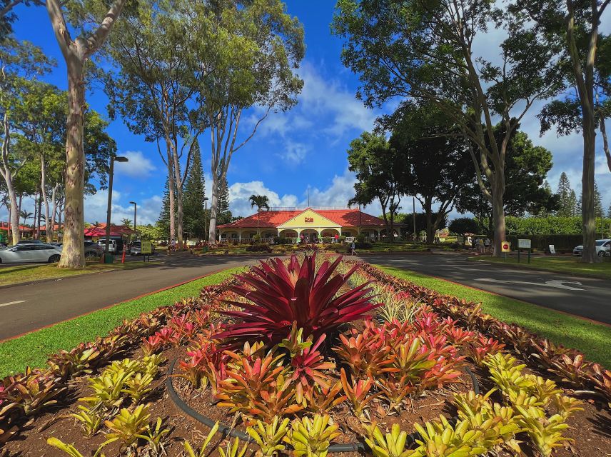 Oahu: North Shore Experience and Dole Plantation - Featured Stops
