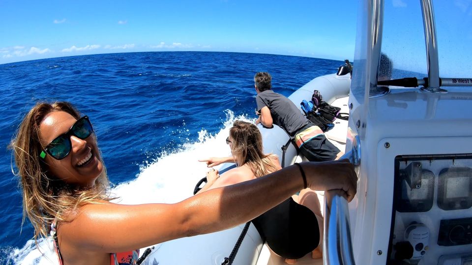 Oahu: Private Whale Watching Adventure - Booking and Availability