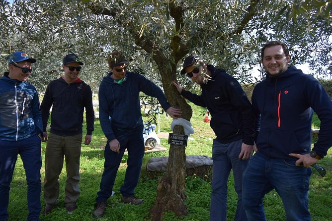 Olive Oil Experience - Guided Tasting and Lunch