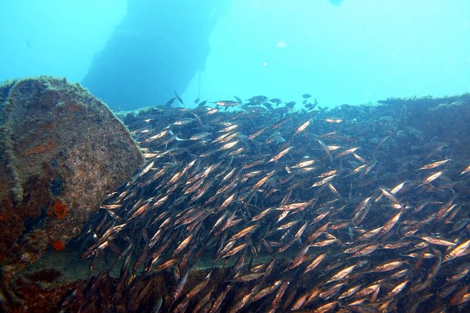 PADI Open Water Course in Gran Canaria - Customer Reviews