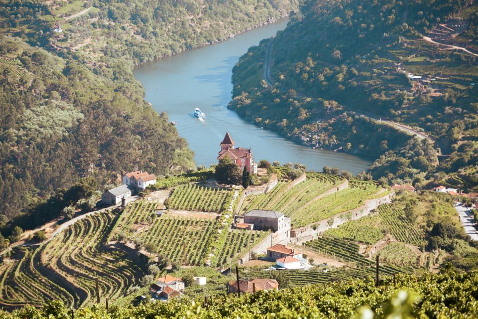 Porto: Douro Valley Tour With Wine Tasting, Cruise and Lunch - Tour Itinerary