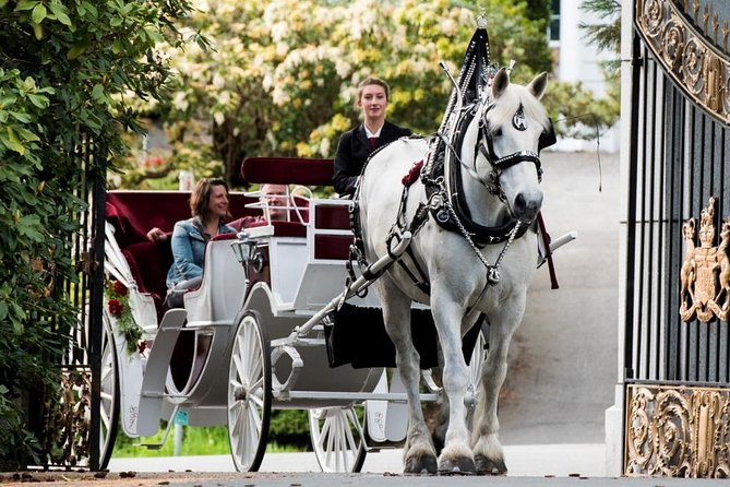 Premier Horse-Drawn Carriage Tour of Victoria - Cancellation Policy Details