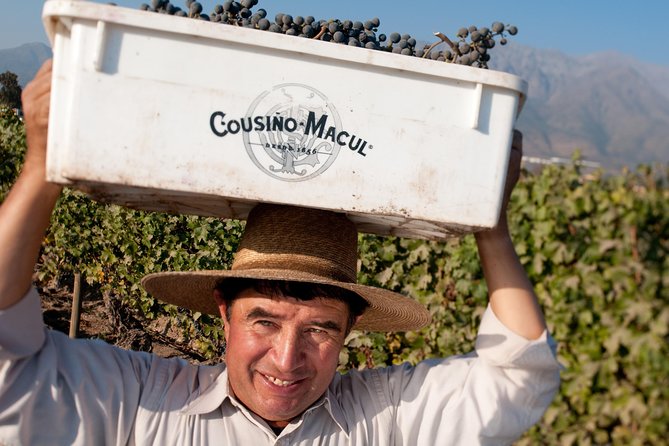 Premium Wine Tour in Viña Cousiño Macul Spanish Official - Additional Tips and Information