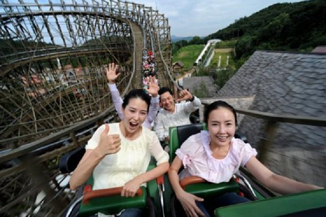 Private 4 Days Nami Island&Petite France&Seoul&Everland Tour - Accommodation and Meals